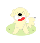 わんこ 犬 バーニーズとゴールデン（個別スタンプ：10）