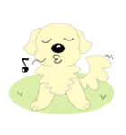 わんこ 犬 バーニーズとゴールデン（個別スタンプ：12）