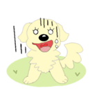 わんこ 犬 バーニーズとゴールデン（個別スタンプ：14）