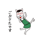 眼鏡猫夫婦（個別スタンプ：1）