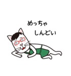 眼鏡猫夫婦（個別スタンプ：3）