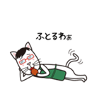 眼鏡猫夫婦（個別スタンプ：8）