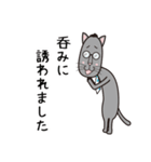 眼鏡猫夫婦（個別スタンプ：19）
