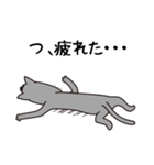 眼鏡猫夫婦（個別スタンプ：36）