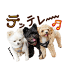 パンタピヨ星人としもべの犬々。その2（個別スタンプ：1）