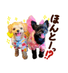 パンタピヨ星人としもべの犬々。その2（個別スタンプ：2）