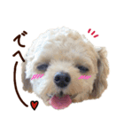 パンタピヨ星人としもべの犬々。その2（個別スタンプ：3）
