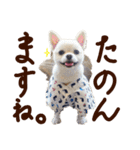 パンタピヨ星人としもべの犬々。その2（個別スタンプ：10）