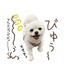 パンタピヨ星人としもべの犬々。その2（個別スタンプ：15）