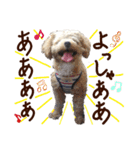 パンタピヨ星人としもべの犬々。その2（個別スタンプ：18）