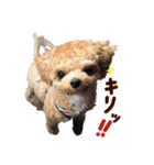 パンタピヨ星人としもべの犬々。その2（個別スタンプ：20）
