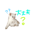 Rain＆Lan①（個別スタンプ：5）