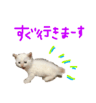 Rain＆Lan①（個別スタンプ：6）