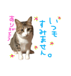 Rain＆Lan①（個別スタンプ：11）