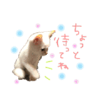 Rain＆Lan①（個別スタンプ：14）