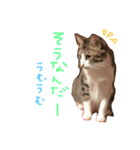 Rain＆Lan①（個別スタンプ：19）