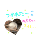 Rain＆Lan①（個別スタンプ：21）