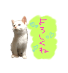 Rain＆Lan①（個別スタンプ：23）
