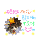 Rain＆Lan①（個別スタンプ：25）