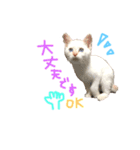 Rain＆Lan①（個別スタンプ：29）