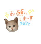 Rain＆Lan①（個別スタンプ：30）