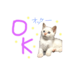Rain＆Lan①（個別スタンプ：31）