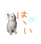 Rain＆Lan①（個別スタンプ：32）