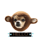 ミックス犬、小太郎のスタンプ 2（個別スタンプ：23）