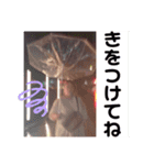 ひかりとdoubt第1弾（個別スタンプ：16）