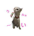 スコのまぁる（個別スタンプ：2）