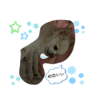 ryuto.nime.（個別スタンプ：6）