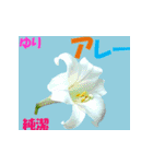 花言葉 1（個別スタンプ：18）