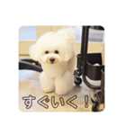telteltelme+（個別スタンプ：14）