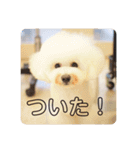 telteltelme+（個別スタンプ：15）