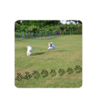 telteltelme+（個別スタンプ：23）
