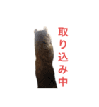 ヒカルの日常（個別スタンプ：8）
