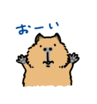 驚愕！ モルモットの世界 2（個別スタンプ：10）