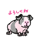 驚愕！ モルモットの世界 2（個別スタンプ：17）