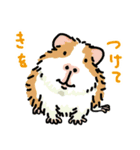 驚愕！ モルモットの世界 2（個別スタンプ：19）