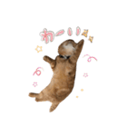 おサニとピース（個別スタンプ：9）