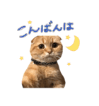 おサニとピース（個別スタンプ：18）