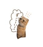 おサニとピース（個別スタンプ：24）