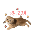 おサニとピース（個別スタンプ：30）