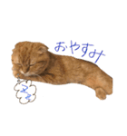 おサニとピース（個別スタンプ：34）