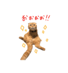 おサニとピース（個別スタンプ：36）