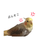 オカメのほっぺちゃん（個別スタンプ：4）