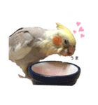 オカメのほっぺちゃん（個別スタンプ：9）