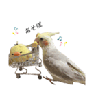 オカメのほっぺちゃん（個別スタンプ：15）