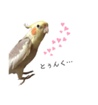 オカメのほっぺちゃん（個別スタンプ：29）