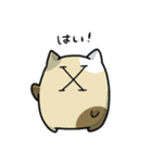 KSKAs（個別スタンプ：37）